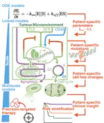 Extending personalised modelling towards clinical use in multiple malignancies