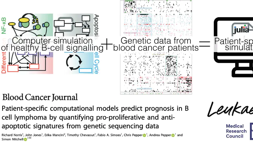 Patient-specific computational models predict prognosis in B cell lymphoma by quantifying pro-proliferative and anti-apoptotic signatures from genetic sequencing data