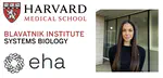 Dr Aimilia Vareli becomes visiting research fellow at Harvard University